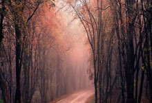 股票开户每个月需要交钱:宁波股票配资网-A股阿里概念大面积异动！发生了什么？